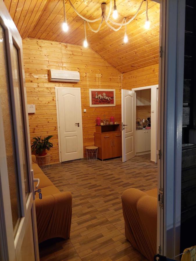 Cabana Oprisor Ocna Sibiului Extérieur photo